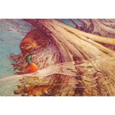 GREETING CARD AINSLIE ROBERTS-THE ORIGIN OF THE PLATYPUS